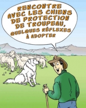 Pastoralisme, Patou, les bons réflexes
